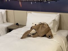 -长沙晚报大道亚朵酒店