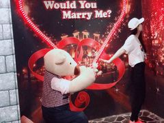 -济州岛泰迪熊博物馆