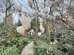 -两河城市森林公园