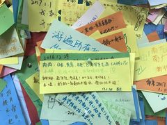 -志龙皇冠吃货椰子铺