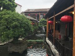 -猪肉婆私房菜(容桂总店)