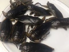 -莫华(锦绣趣园北街店)