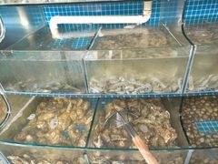 水产区-蟹谢蒸鲜自助餐厅