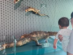 -中国湿地博物馆