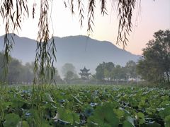 -黟县屏山村