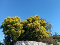 -云溪植物园