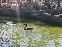 -灵玲国际马戏城