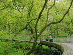 -西湖风景区-江洋畈生态公园