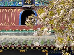 -洛阳白马寺