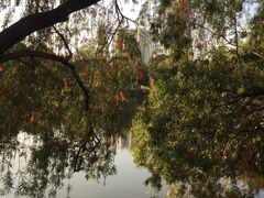 -人民公园(罗湖区)