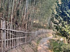 -宁波浙东大竹海景区