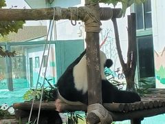 -临沂动植物园