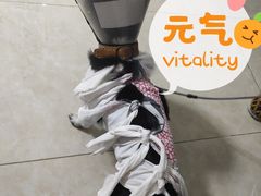 -凯瑞希宠物医院·狂犬免疫·微创·皮肤科