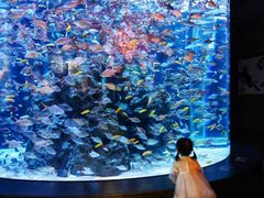 -成都浩海立方海洋公园