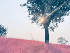 -汉长安城未央宫国家考古遗址公园