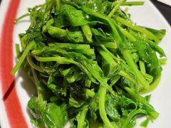 清炒豌豆尖-麻六记(凤凰汇店)