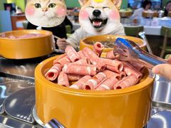 -锅知鲜自助火锅(武侯吾悦广场店)
