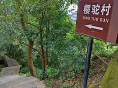 -紫金山索道-售票处