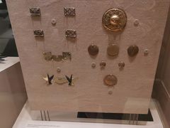 -美国自然历史博物馆