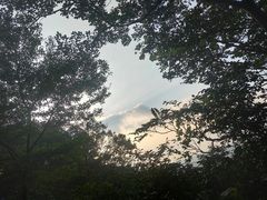 -紫金山山顶公园
