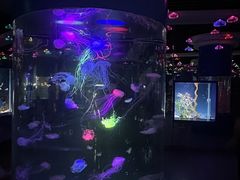 -重庆欢乐海底世界