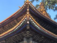 -普乐寺