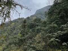 -西岭雪山大飞水景区