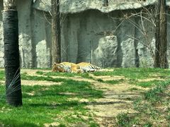 -北京野生动物园