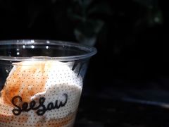 -Seesaw Coffee(环贸iapm店)