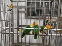 -观桥阁(锦溪店)