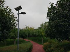 -洨河生态公园