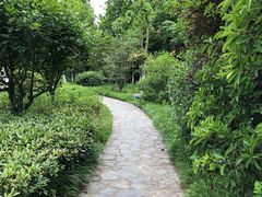 -合肥三国新城遗址公园