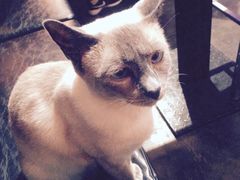 -MIKAKU(万达广场上海宝山店)