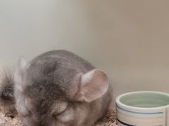 -龙猫仔乐园(惠福东路店)