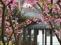 -江宁织造博物馆