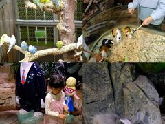 -正佳雨林生态植物园
