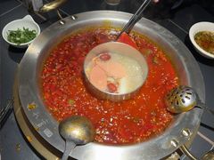 -蜀九香火锅(彩虹店)