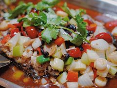 -鱼乐乐(Happy Fish)