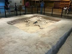 -洛阳周王城天子驾六博物馆