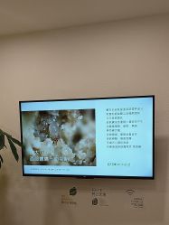 -塑青春&伊肤泉祛痘皮肤管理