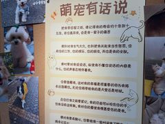 -翊宠yipet猫狗购宠庄园犬舍•猫舍