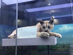 -国家自然博物馆