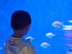 -沈阳海洋探索中心