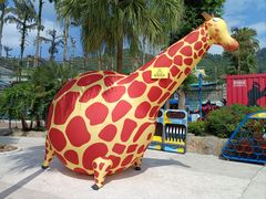 -重庆海昌加勒比海水世界