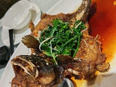 -熠盛粤味·顺德桑拿鸡(永康路店)