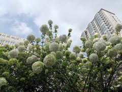 -郑和公园
