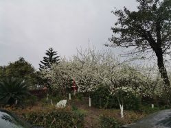 -南海地球村生态亲子乐园