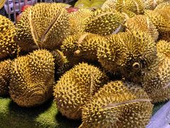 -鑫朱雀农贸批发市场