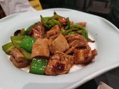 -鸢飞潍坊菜馆(鸢飞大酒店)