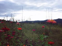-火舞泰·泰式海鲜火锅餐厅(世纪城店)